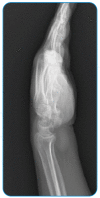 FIGURE 1: