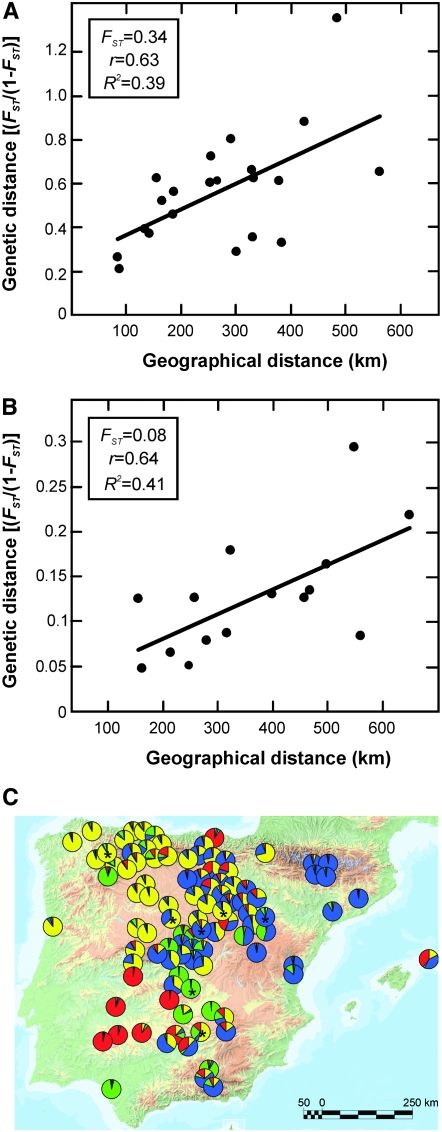 Figure 5.—