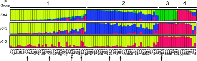 Figure 4.—