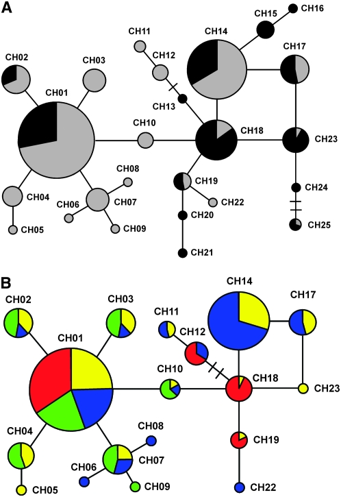 Figure 2.—