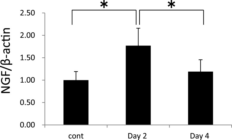 Fig. 2