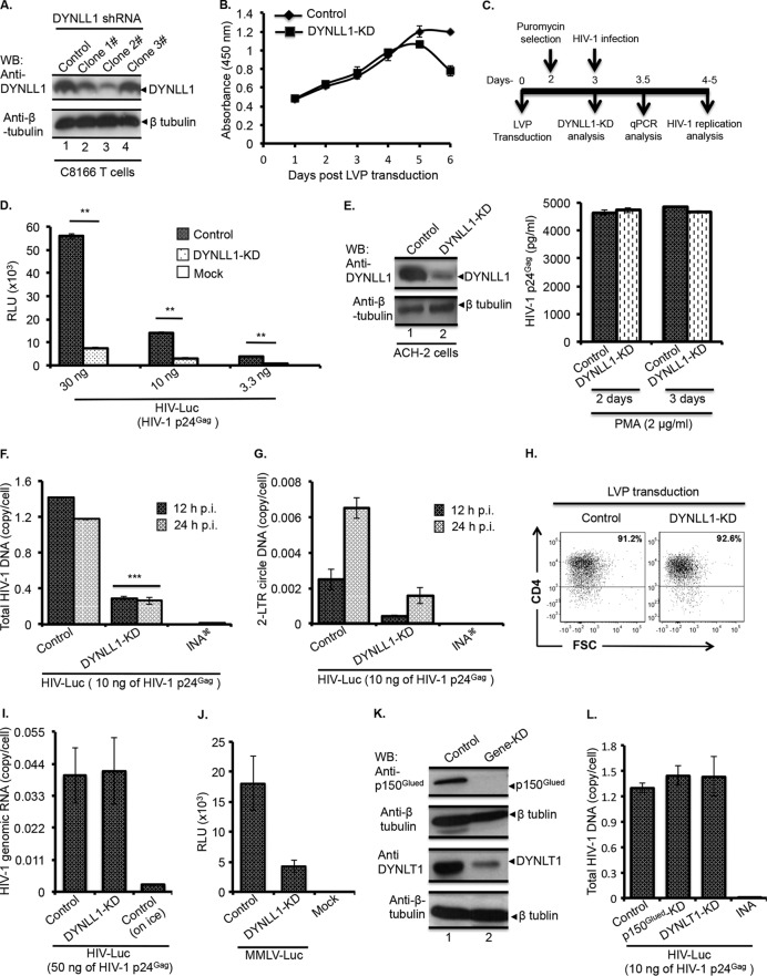 FIG 1