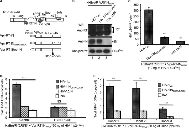 FIG 4