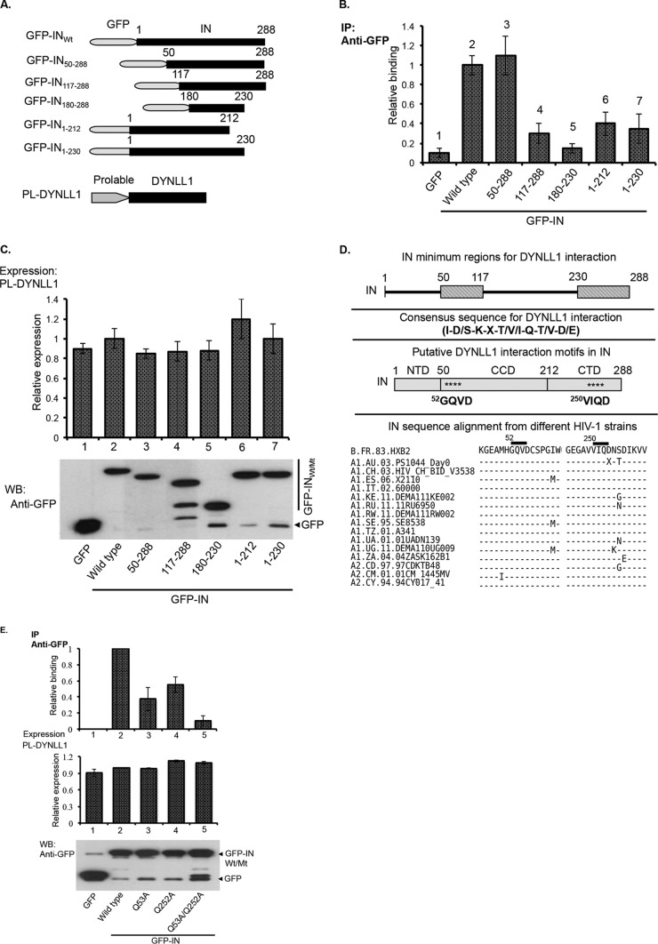 FIG 3