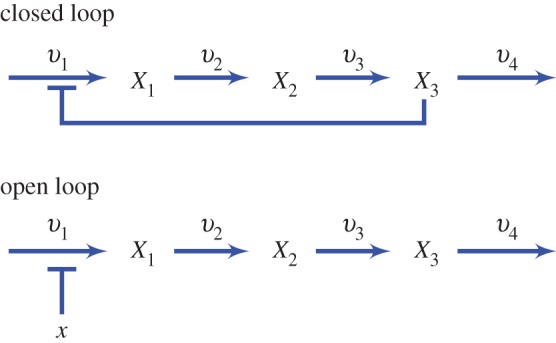 Figure 11.