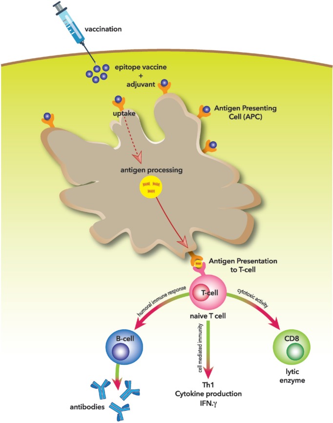 Figure 2.