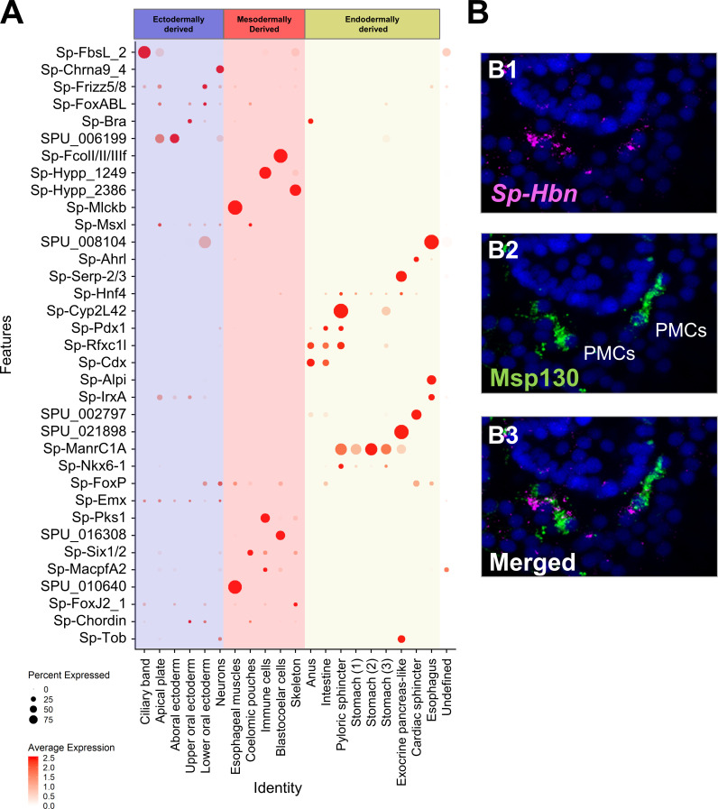 Figure 2—figure supplement 2.