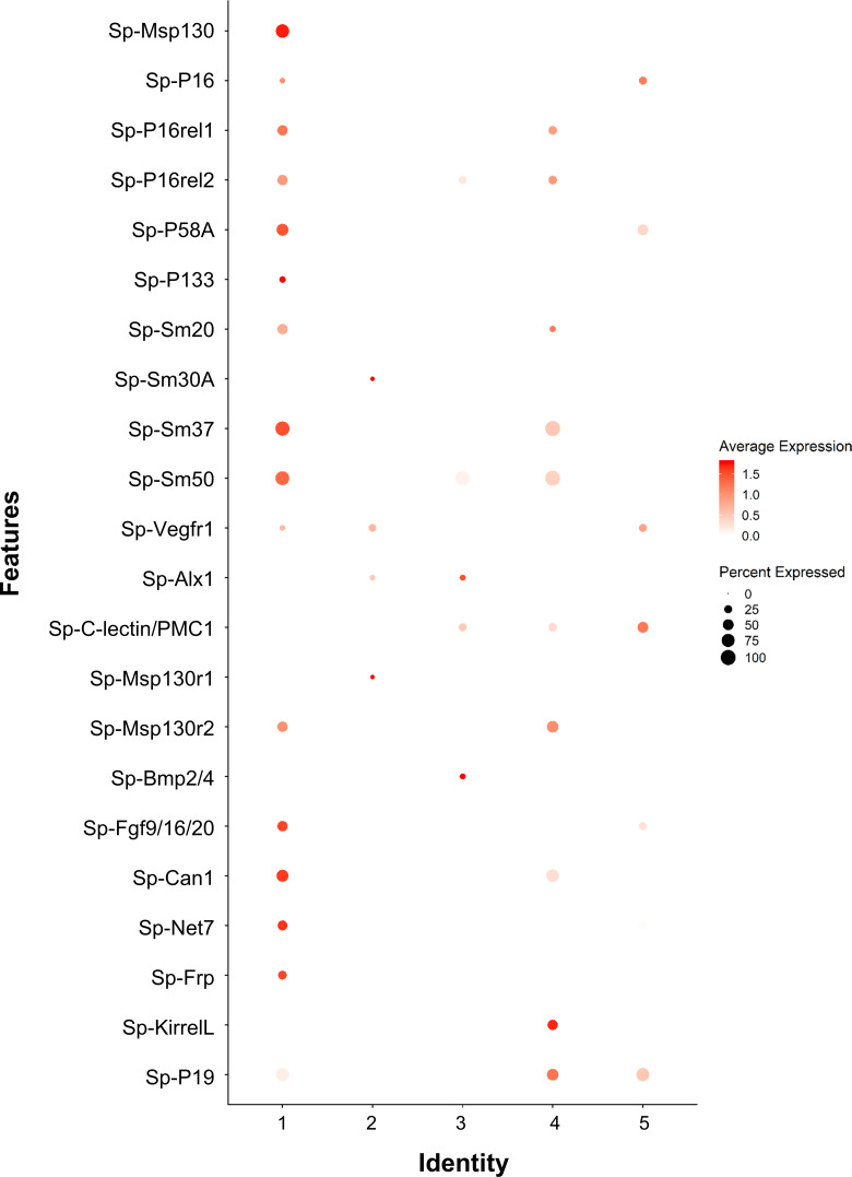 Figure 6—figure supplement 1.