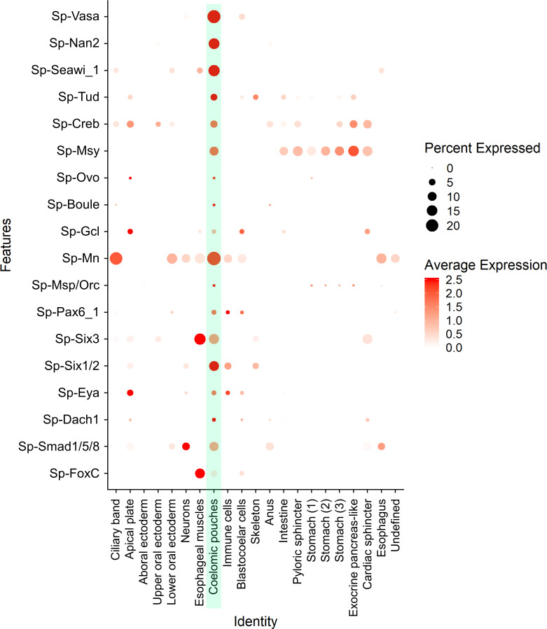 Figure 2—figure supplement 3.