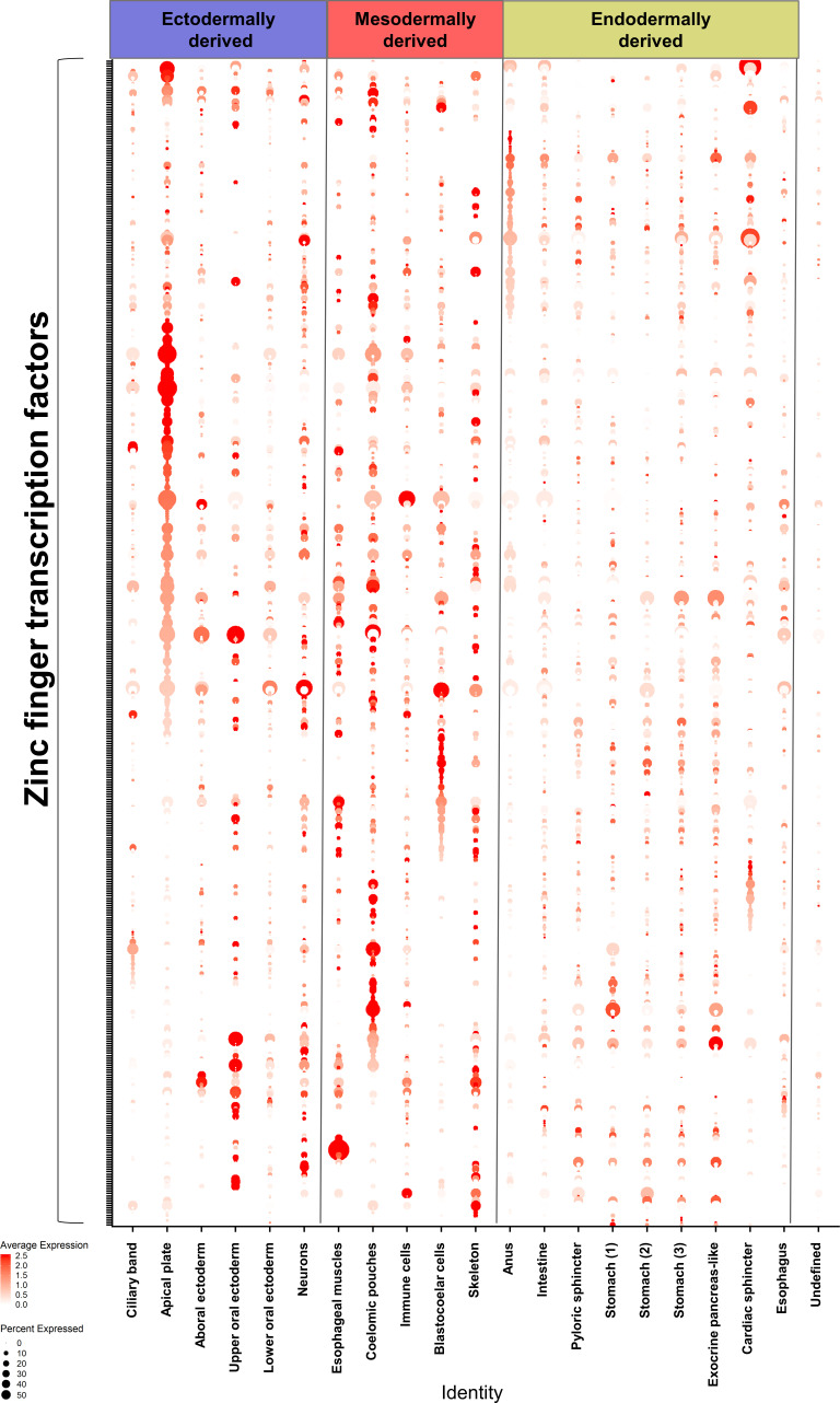 Figure 4—figure supplement 1.