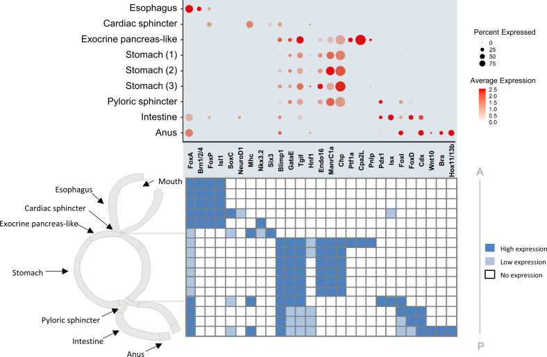 Figure 5—figure supplement 1.