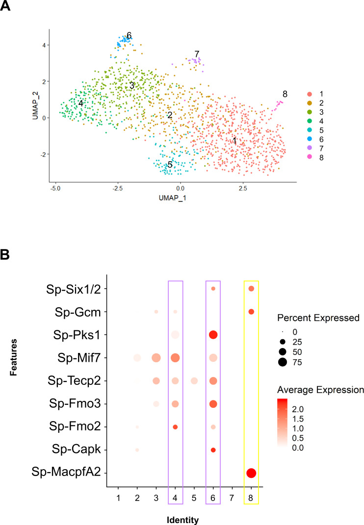 Figure 6—figure supplement 2.