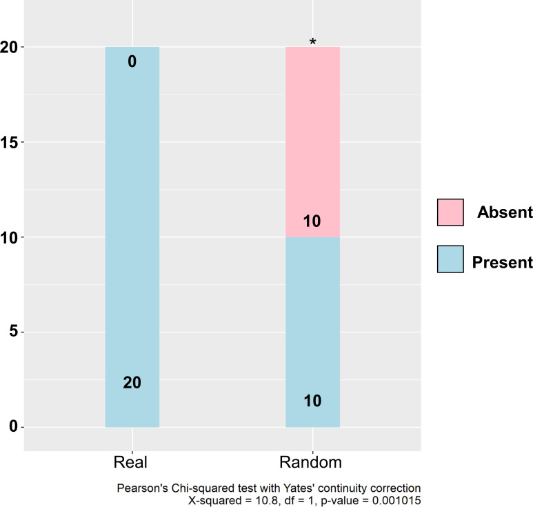 Figure 7—figure supplement 1.