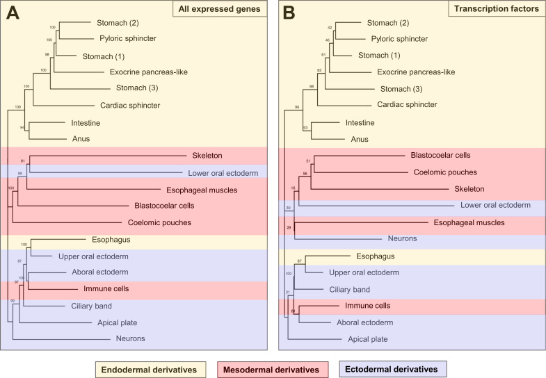 Figure 3—figure supplement 1.