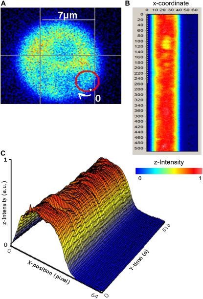 FIGURE 3