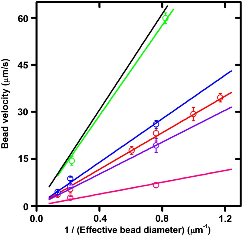 Fig. 3.