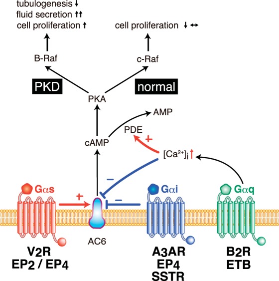 Fig. 3.