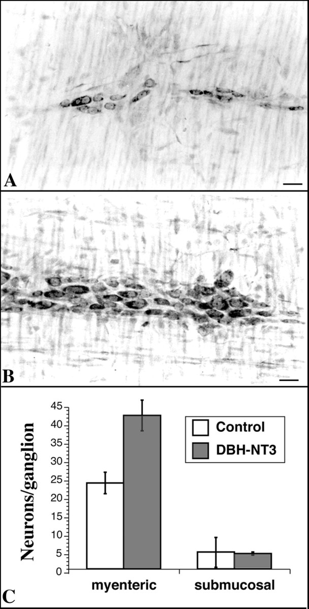 Fig. 8.