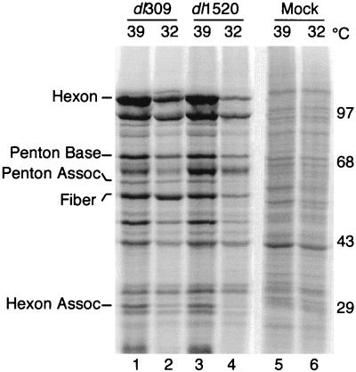 FIG. 8