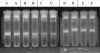 FIG. 2.