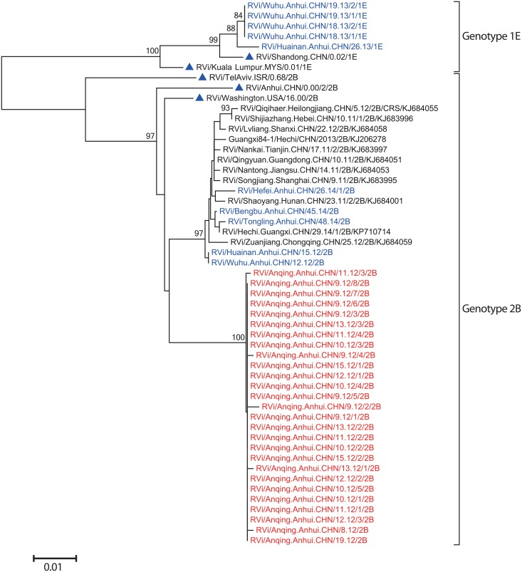 Fig 6