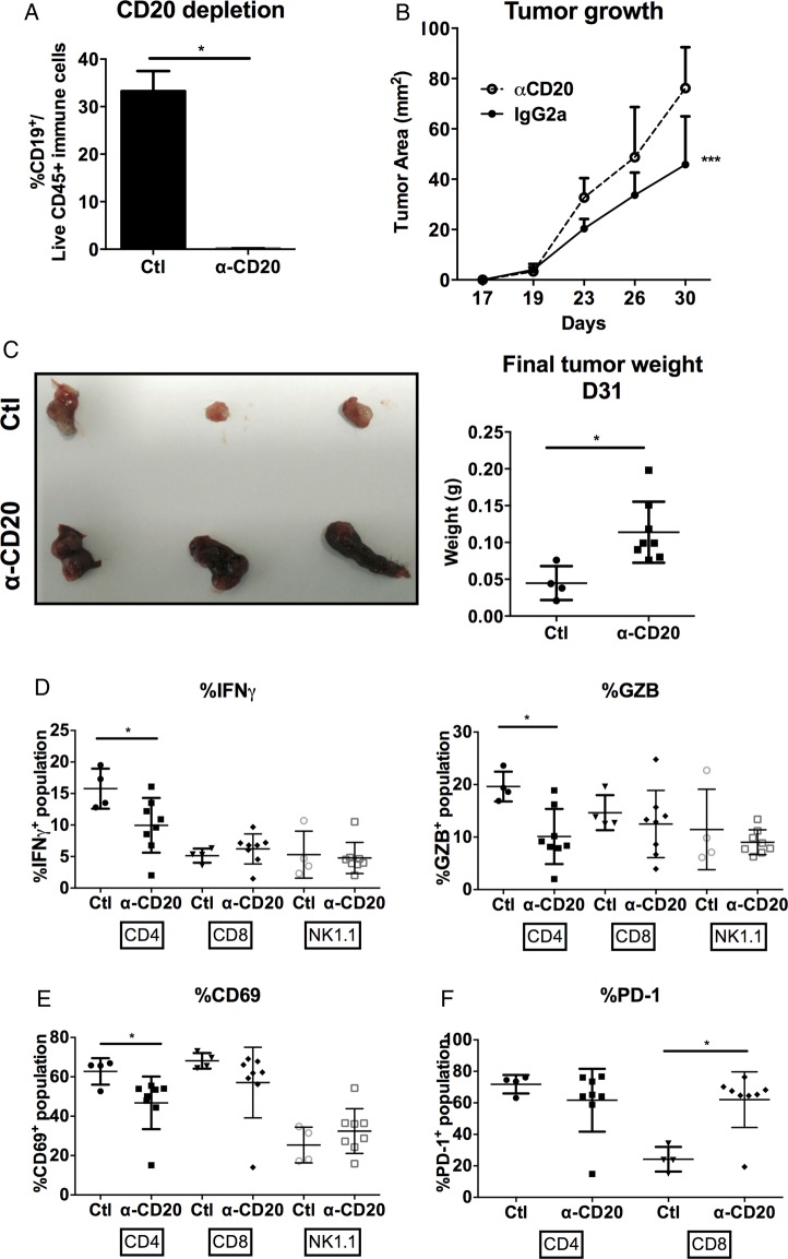 Figure 6