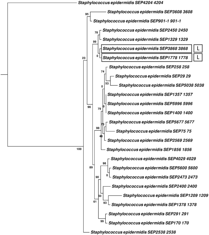 FIG 3