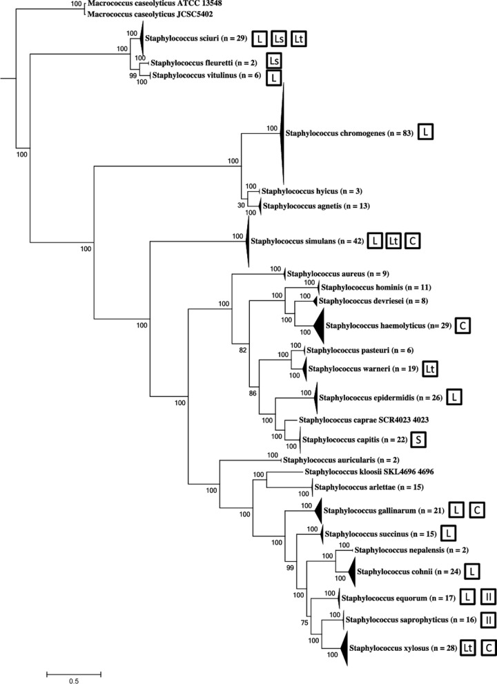 FIG 1