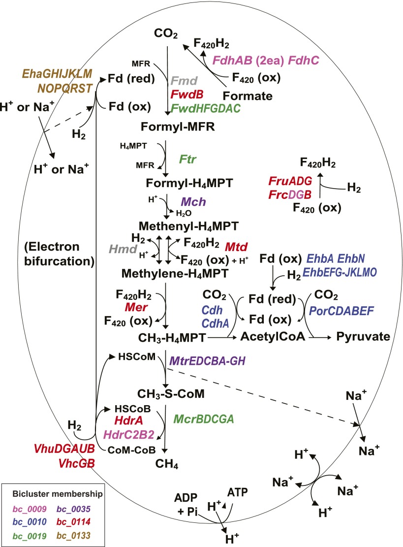 Figure 2.