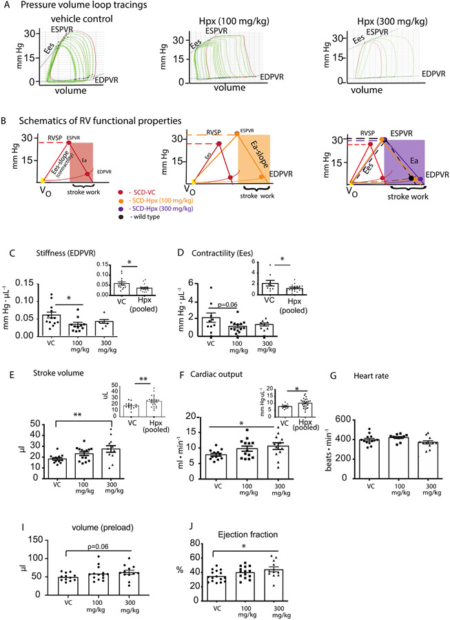 Figure 5: