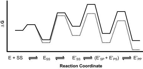 FIGURE 8.