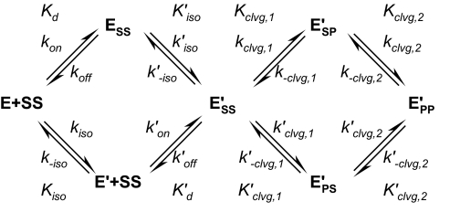 SCHEME 1