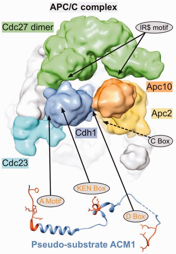 Figure 2.