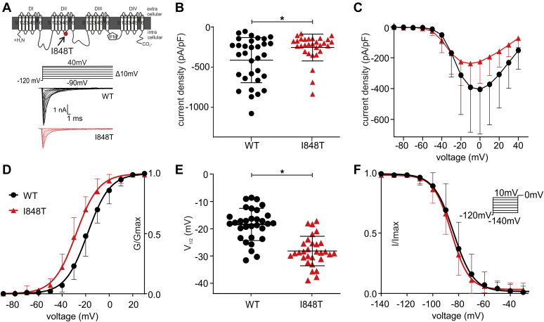 Figure 1