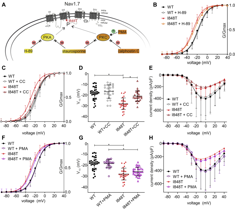 Figure 4