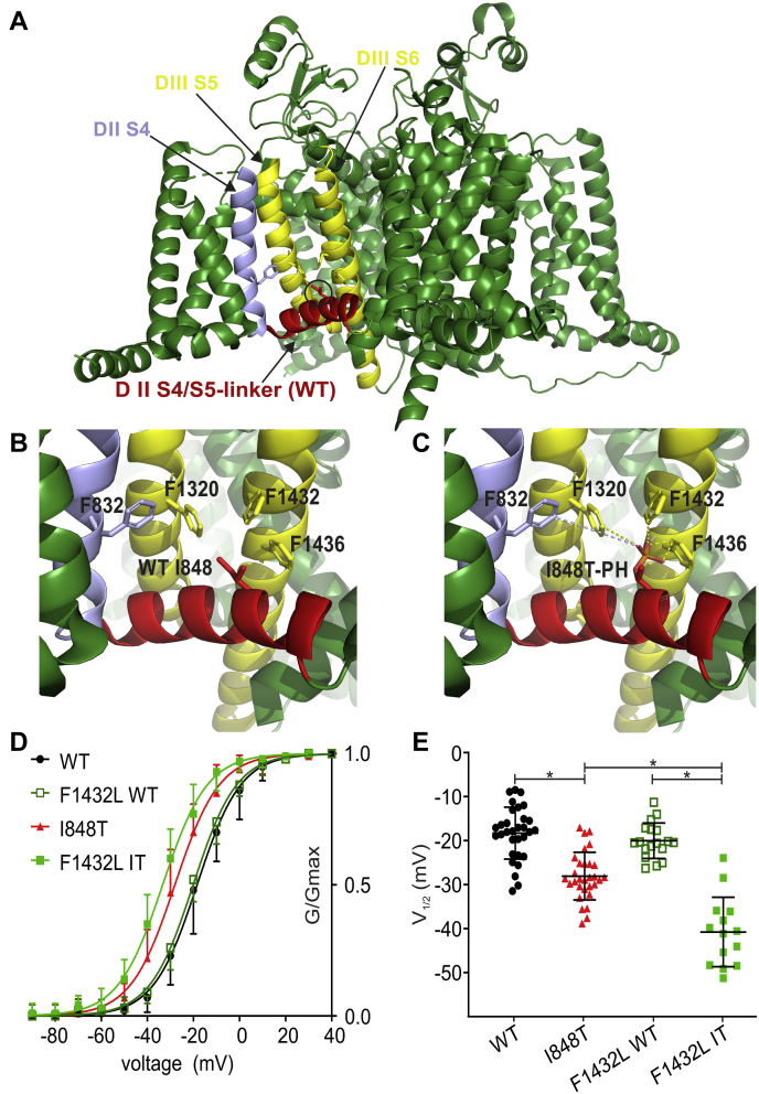 Figure 5