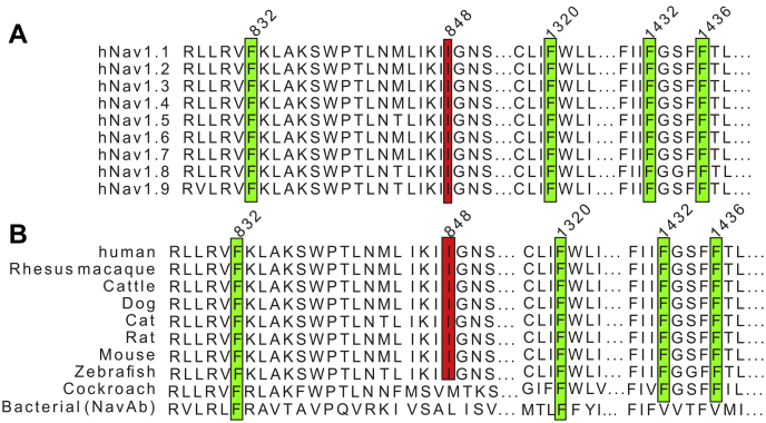 Figure 6