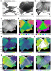 Fig. 4