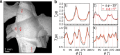 Fig. F1