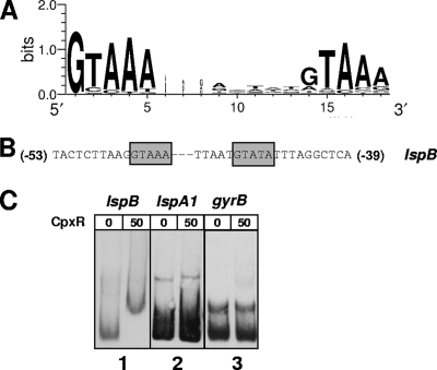 FIG. 6.