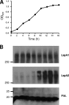 FIG. 1.
