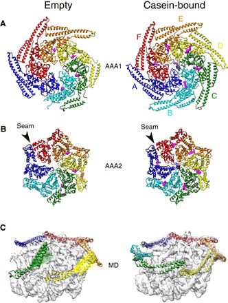 Fig. 2