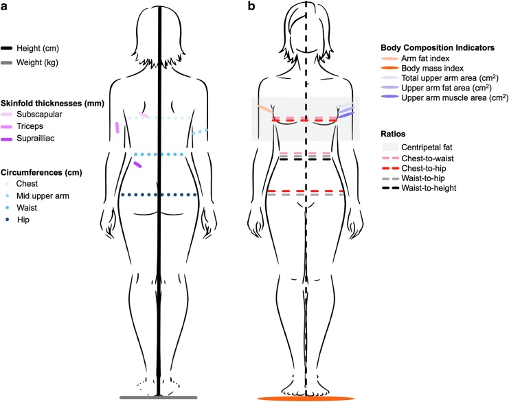 FIG. 1.