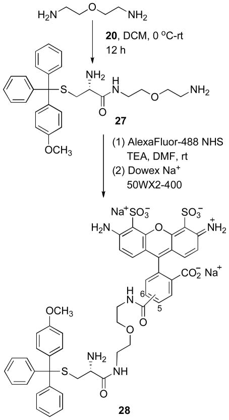 Scheme 6