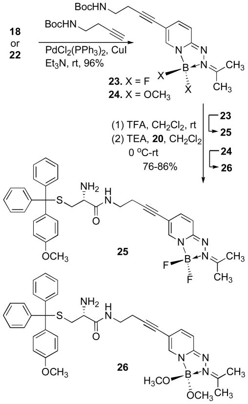 Scheme 5