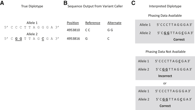 Figure 4