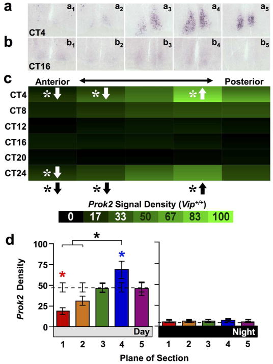 Figure 5