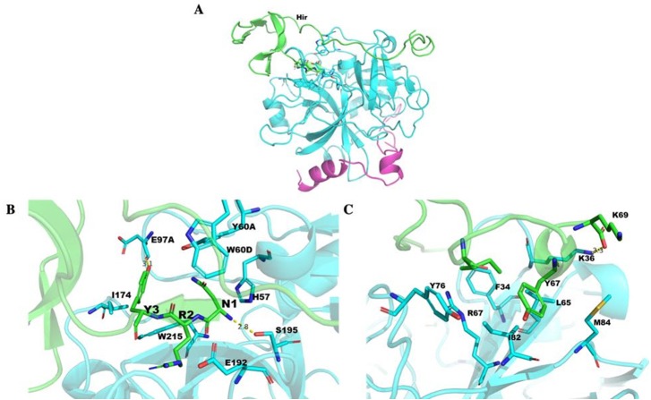 Figure 10