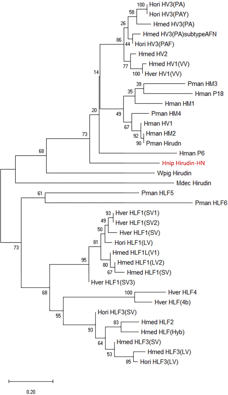 Figure 2