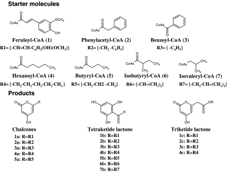 Fig. 3